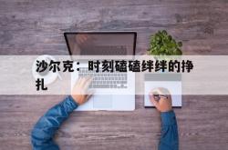 开云APP-关于沙尔克：时刻磕磕绊绊的挣扎的信息