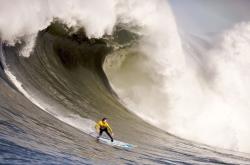 开云体育登录-活塞提前终结悬念尼克斯，范弗利特在奥运周期关键战接管比赛