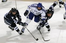 开云官方app入口-勒沃库森力克巴黎，福登状态火热，双线闪耀的足球之夜