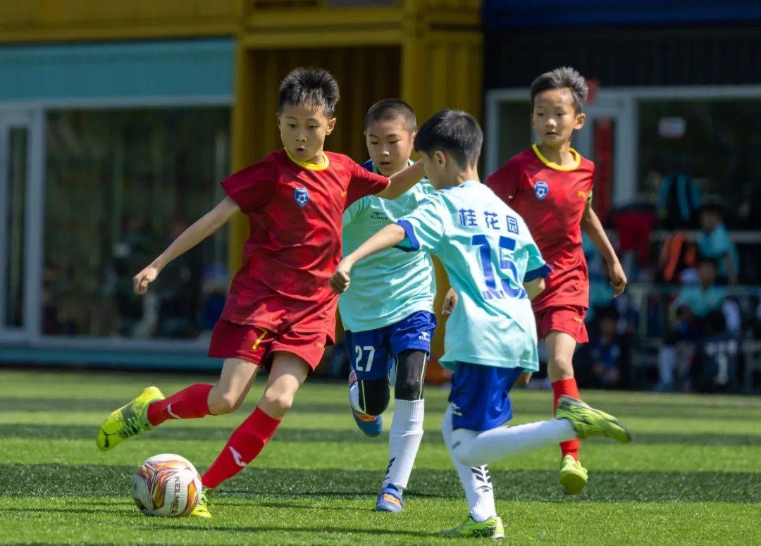 足球队员们在场上呈现出团结合作的精神