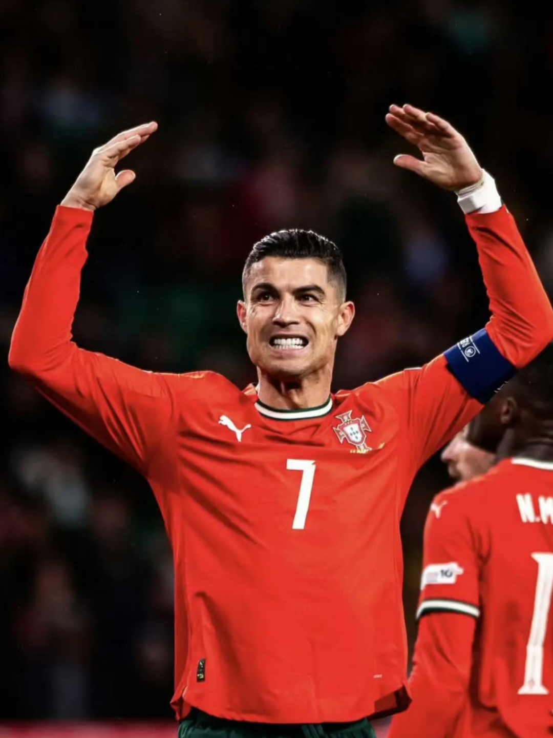 欧洲杯预选赛：葡萄牙遭遇严重挑战，小组积分领跑岌岌可危的简单介绍