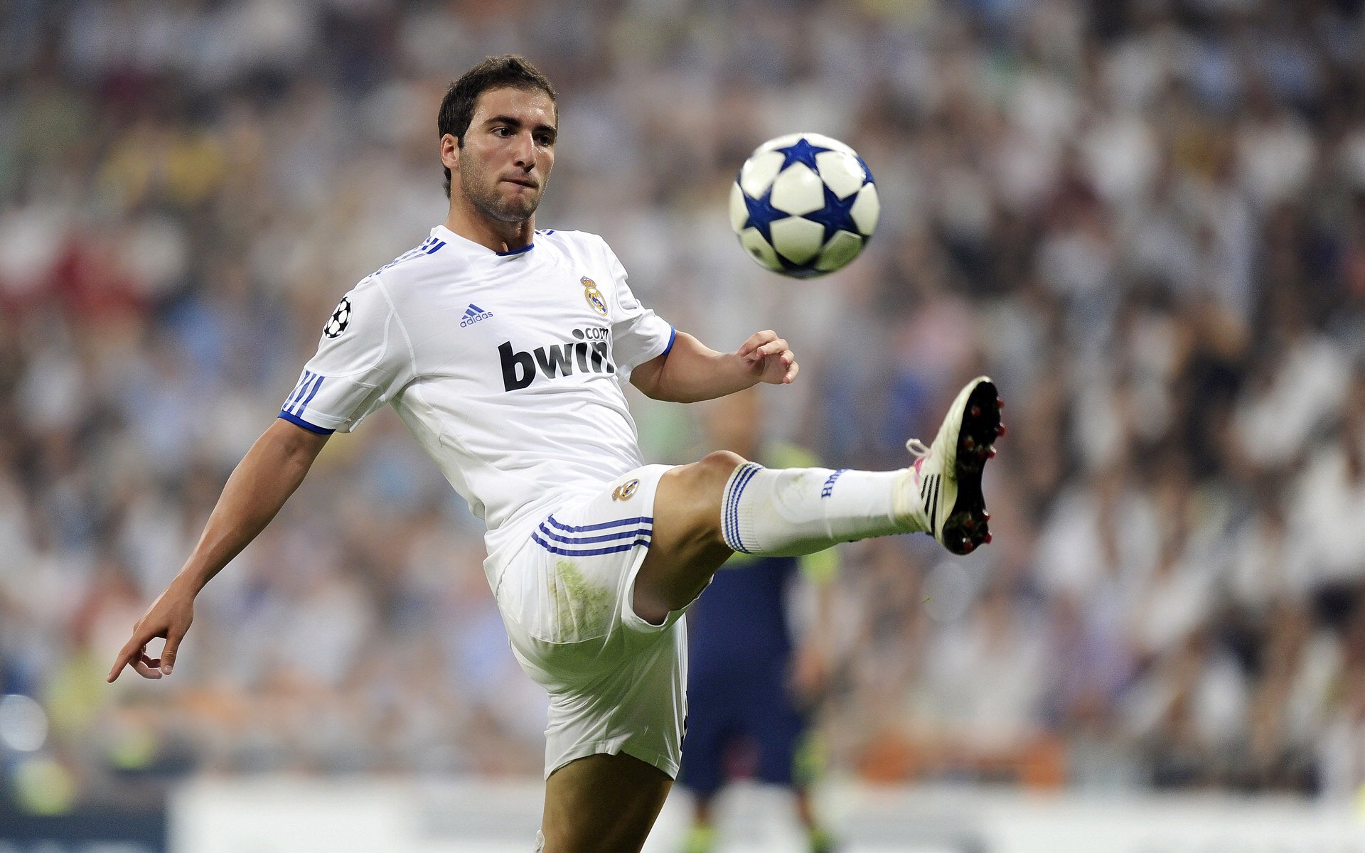 年度焦点之战之夜，马克西大场面先生